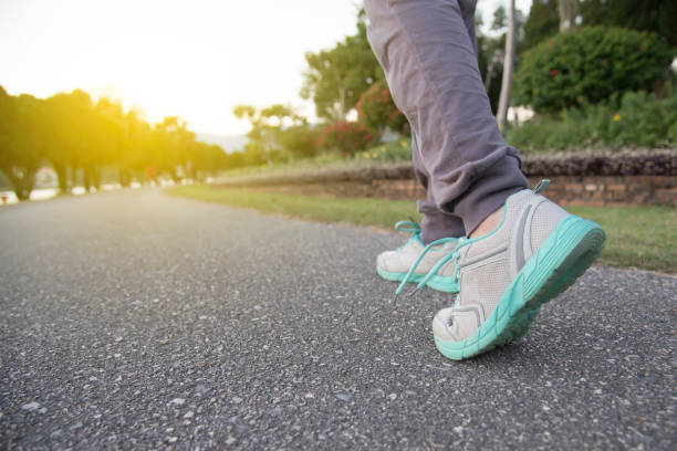 istockphoto-887167166-612×612