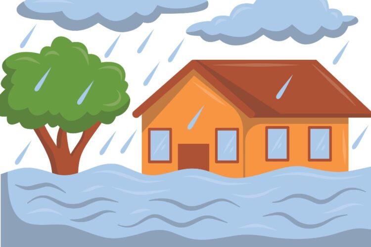 c1_20251029_12162745-750x500