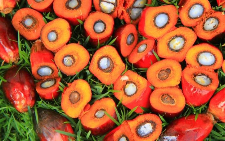 1000022578-750x469-1