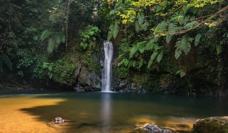 Screenshot_20220212_111051-768x448